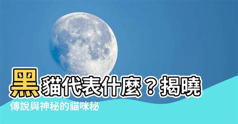 反背意思|反背